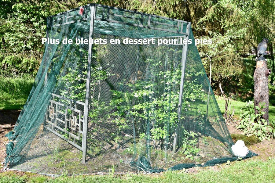 Filet de protection anti-oiseaux 25 m² (5x5 m) - Forges et Jardins