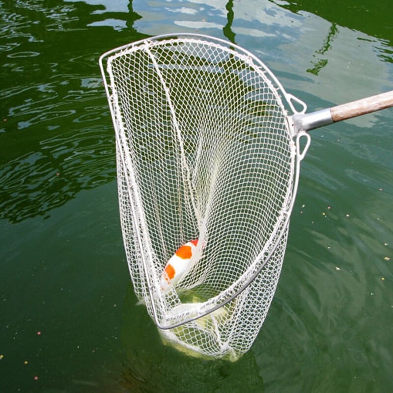 Hengda Filet de Protection Filet d'étang pour étang à Mailles Fines de  Contre Les Oiseaux