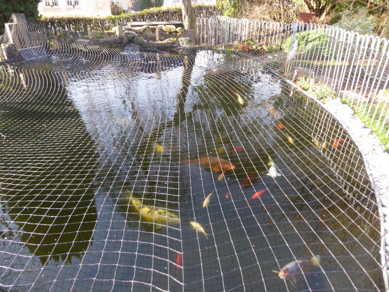 Filet d'étang 4x10M Filet de bassin Filet de jardin vert Filet anti-o Filet  de couverture d'étang de jardin Filet maille protéger - Cdiscount Jardin