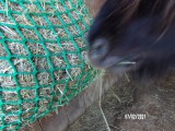 Filet à foin en forme de sac - Mailles en fonction du stock - ∅ 5 mm - Déstockage