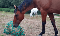 Filet à foin en forme de sac - Mailles en fonction du stock - ∅ 5 mm - Déstockage