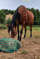 Filet à foin en forme de sac - Mailles en fonction du stock - ∅ 5 mm - Déstockage