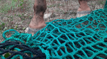 Filet à foin en forme de sac - Mailles en fonction du stock - ∅ 5 mm - Déstockage