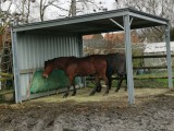 Filet à foin pour mangeoire à chevaux robuste - sur mesure - Mailles 60 mm - ∅ 5 mm