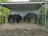 Filet à foin pour mangeoire à chevaux robuste - sur mesure - Mailles 60 mm - ∅ 5 mm