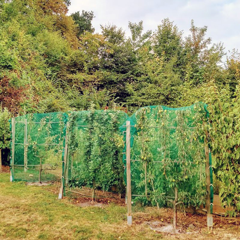 Filet pour arbres fruitiers, vignes et potagers - Mailles 2 x 6 mm - 60 g/m²