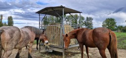 Filet à foin pour mangeoire à chevaux robuste - sur mesure - Mailles 45 mm - ∅ 5 mm