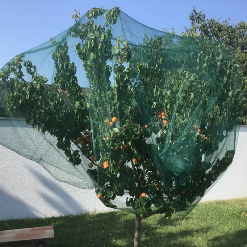 Filet anti-insectes arbre fruitier - 5,20 x 5 m