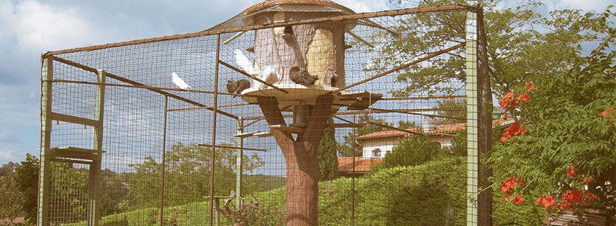 Filet Anti Oiseaux Jardin Filet Voliere Filet Anti Pigeon pour