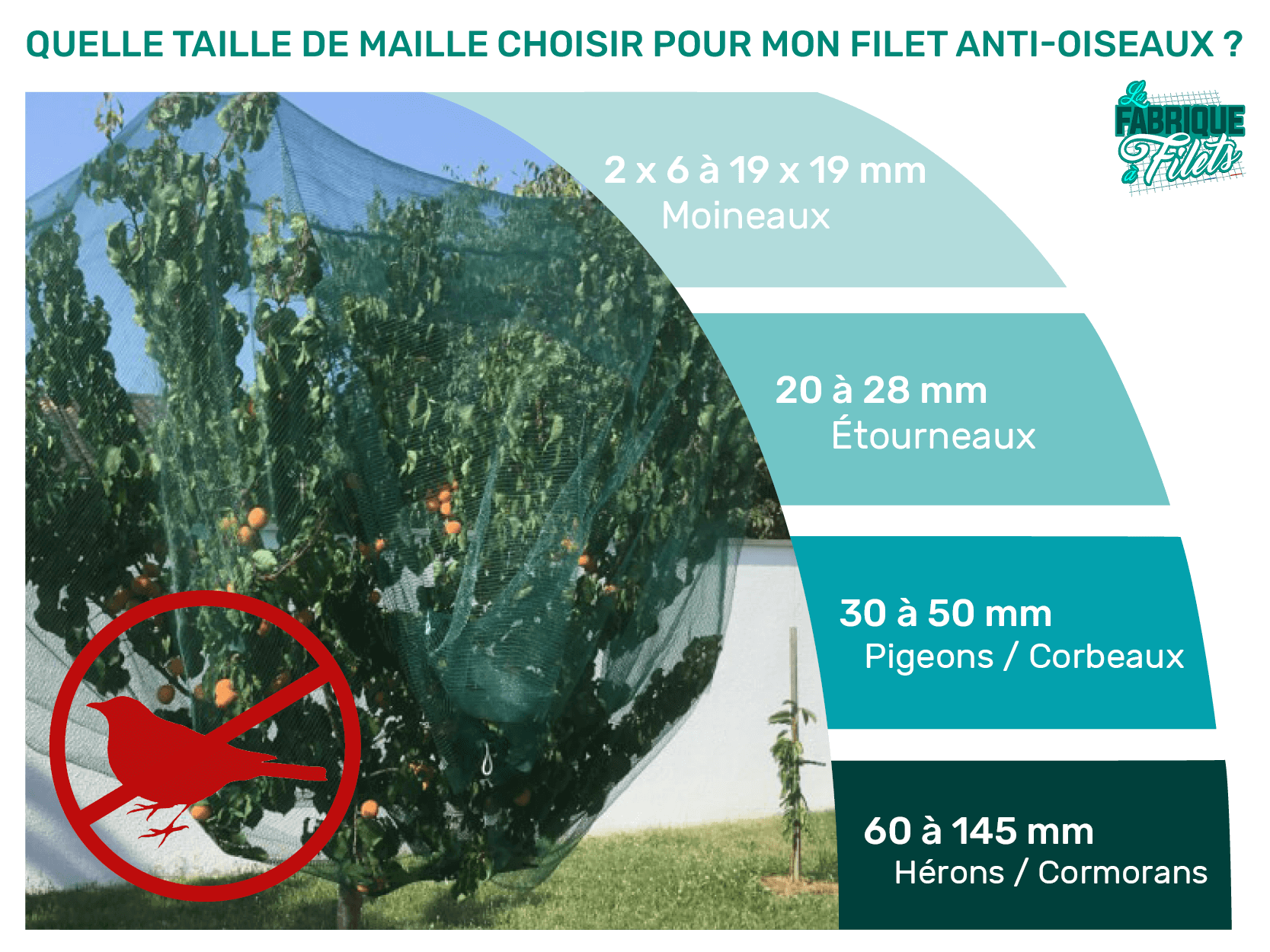 Filet Anti-Etourneaux - Maille 28mm - Sur mesure