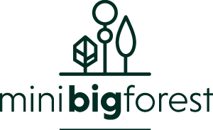 logo Mini Big Forest